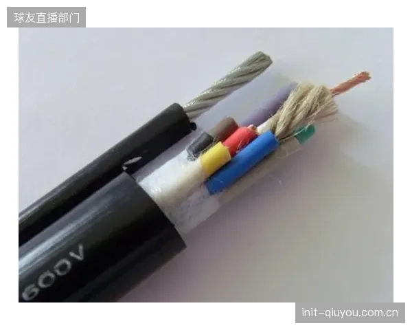 未来鞋服一体化的关键：柔性混合电子技术将允许步态传感器无缝织入运动袜